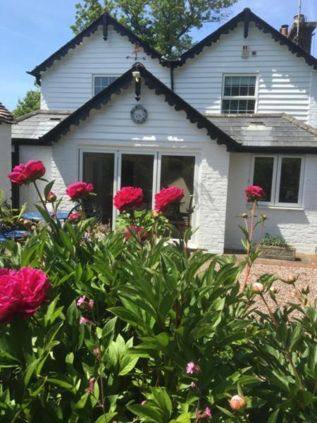 Wishing Well Cottage Wilmington  Exteriör bild