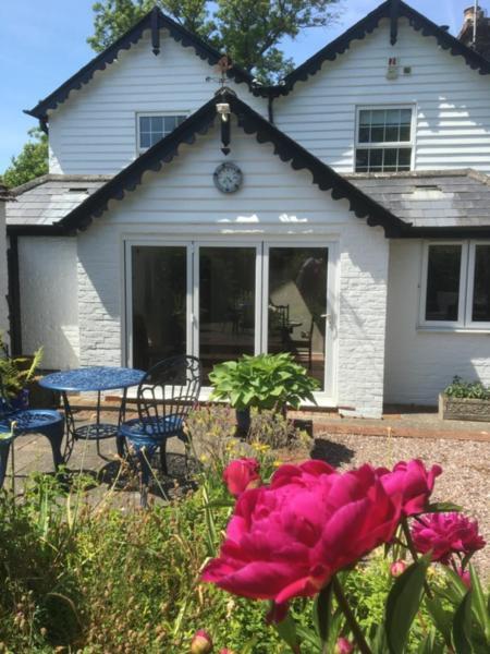 Wishing Well Cottage Wilmington  Exteriör bild